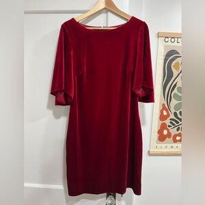 Badgley Mischka Velvet Dress